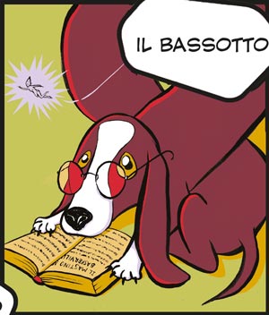 Bassotto
